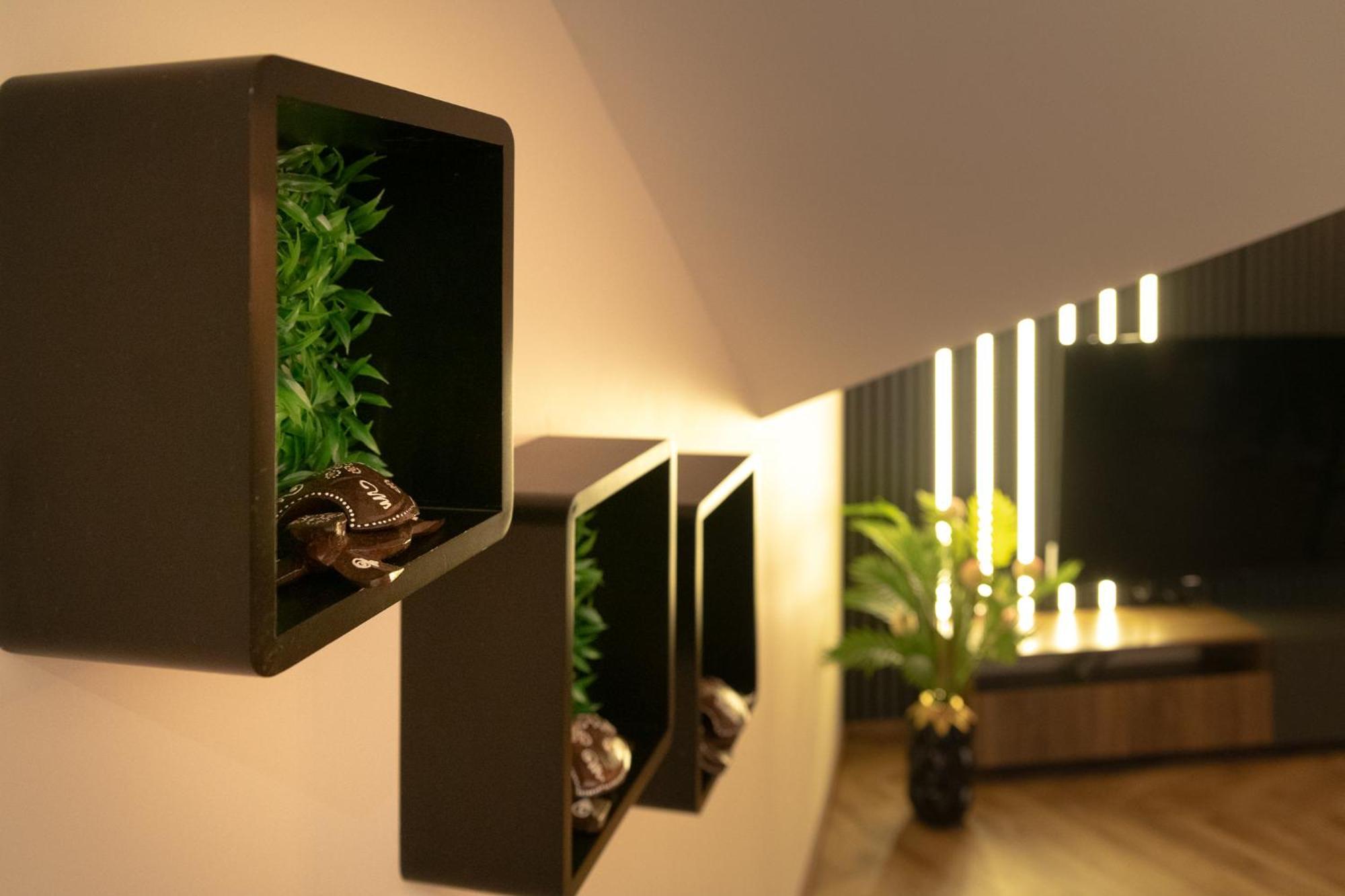 Fenix Apartments Sokobanja Zewnętrze zdjęcie
